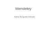 Mendeley 1