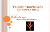 Flores Tropicales de Costa Rica