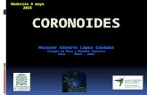 Coronoides medellin mayo 2015
