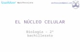 El núcleo celular jano