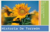 Torreon 3°b