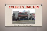 Colegio dalton