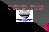 Universidad regional autonma de los andes