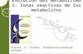 Representación de las zonas reactivas de los metabolitos