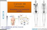 Prostate Cancer . Castration resistance