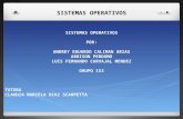 Sistemas operativos   grupo 153