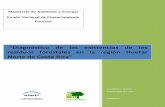 Informe Final Diagnóstico de las existencias de los residuos forestales en la región Huetar Norte de Costa Rica 05-12-12