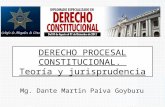 Teoria y jurisprudencia_del_derecho_procesal_constitucional