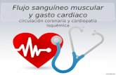 Flujo sanguineo muscular y gasto cardiaco