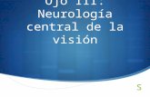 Ojo iii. neurología central de la visión