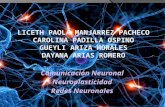 Expo neurop