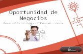 Presentación virtual business perú1   amer