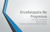 Encefalopatia no progresiva