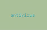 Antivirus pollo