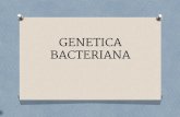 Genética bacteriana 1