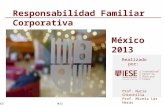Informe México 2013