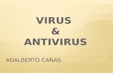 Virus & antivirus