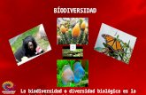 Presentación biodiversidad 2