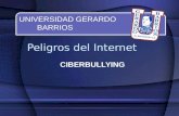 Peligros del internet  - Ciberbullying