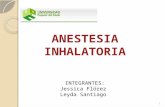 Anestesia inahalatoria