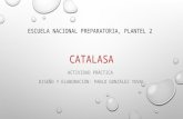 Presentacion catalasa