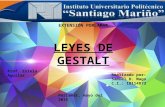 LEYES DE GESTALT