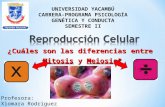 Reproducción celular (tarea 3)