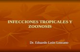 15. infecciones tropicales y zoonosis
