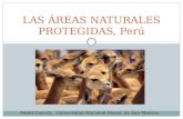 Las áreas naturales protegidas del Perú
