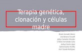 Terapia genética, clonación y células madres