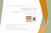 Análisis del sitio web CONACULTA