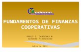 Finanzas cooperativas 07 2012 definitivo