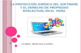 La protección jurídica del software y el derecho de p.i. en el peru