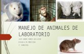 Manejo de animales de laboratorio