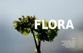Flora Ecuador