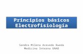 SEMINARIO Principios electrofisiología básica