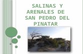 Salinas y arenales de San Pedro