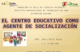 El Centro Educativo como agente de socialización