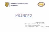 Desarrollo del Programa Prince2