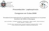 Leptospirosis animales 2008