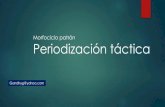 Morfociclo patron periodizacion tactica