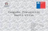 Campaña hanta virus