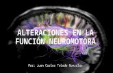 Alteraciones en la función neuromotora  / Alterations in neuromotor function