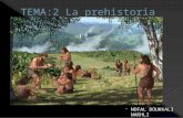 Tema 2  la prehistoria