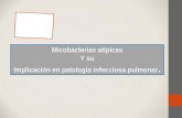 Mycobacterias atipicas