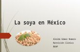 La Soya en México
