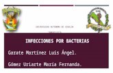 17. Infecciones por Bacterias (03-Oct-2013)