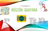 región Guayana geografía y informática