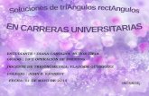 SOLUCIONES DE TRIANGULOS RECTANGULOS EN CARRERAS UNIVERSITARIAS