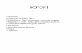 07- Motor I